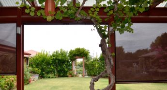 Outdoor Blinds Adelaide | Alfresco Blinds Flinders Park